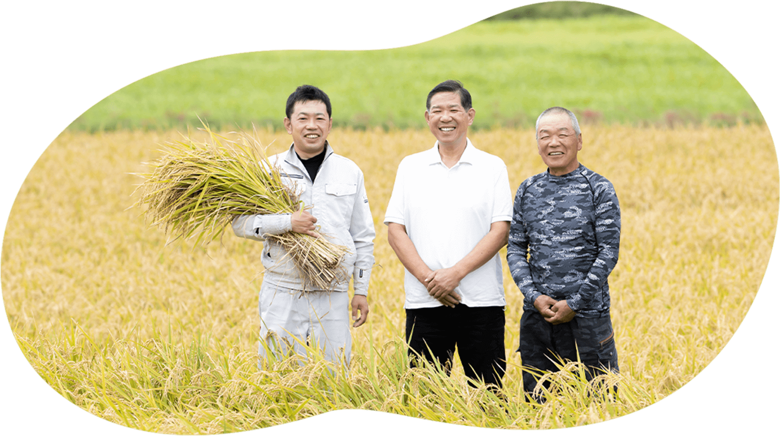 残留農薬ゼロ 大分産玄米